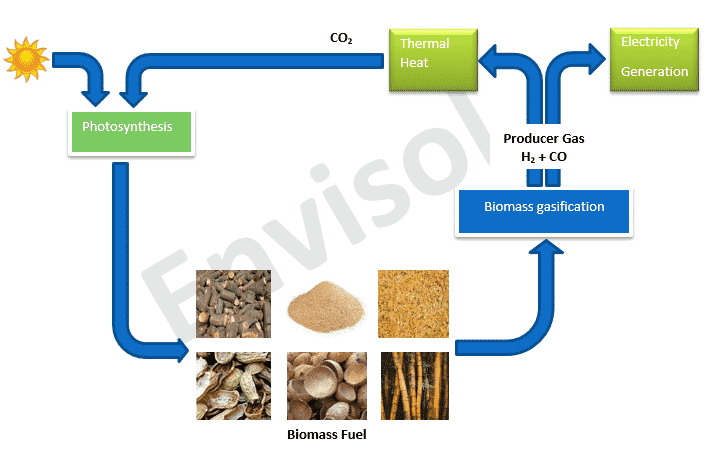 BiomassFuel
