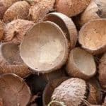 Coconut shell